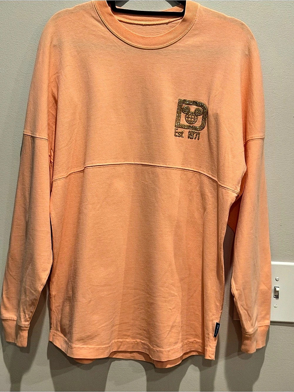 Disney Parks Walt Disney World Spirit Jersey XS